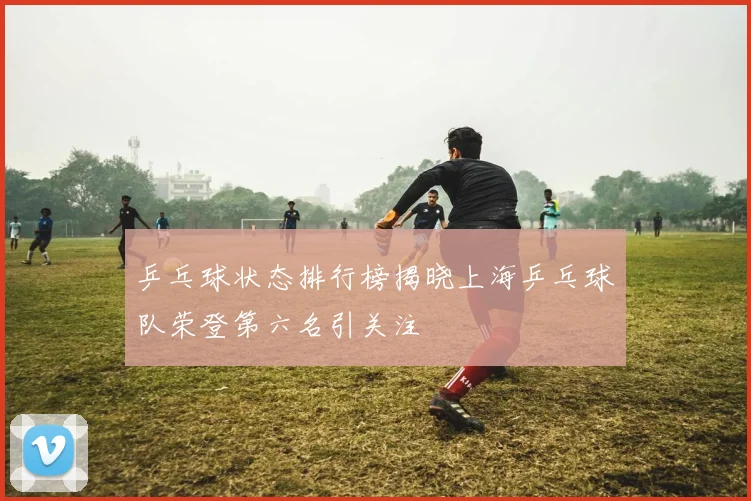 乒乓球状态排行榜揭晓上海乒乓球队荣登第六名引关注