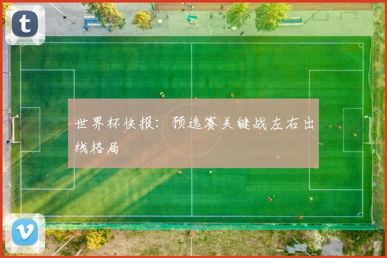 世界杯快报：预选赛关键战左右出线格局