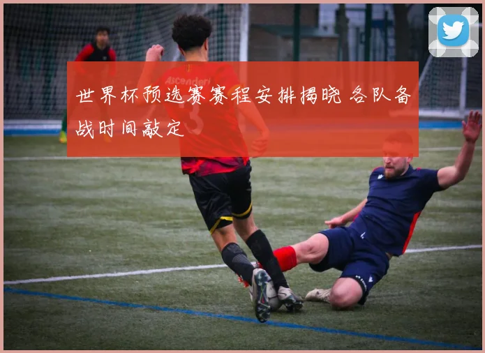 世界杯预选赛赛程安排揭晓 各队备战时间敲定