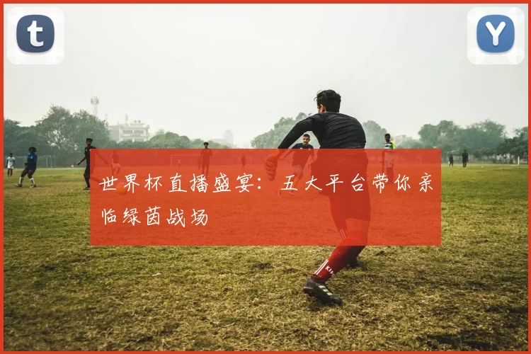 世界杯直播盛宴：五大平台带你亲临绿茵战场