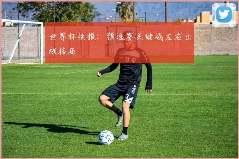 世界杯快报：预选赛关键战左右出线格局