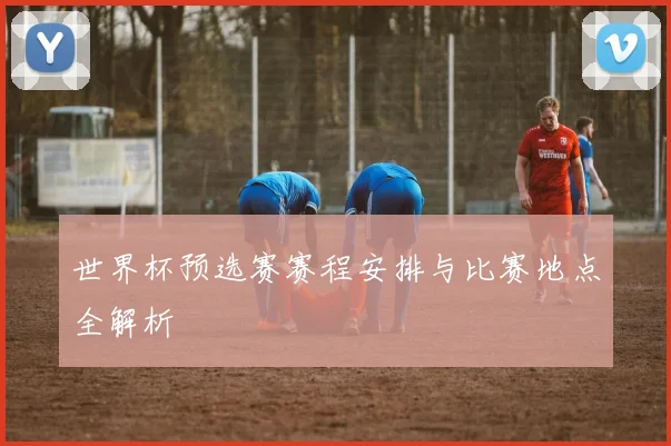 世界杯预选赛赛程安排与比赛地点全解析