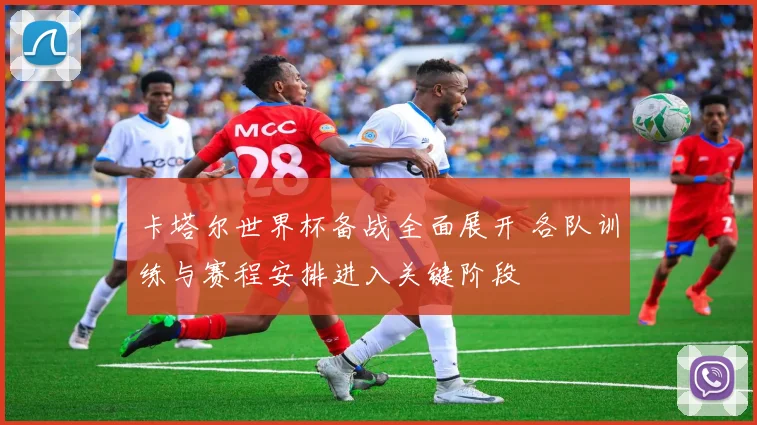 卡塔尔世界杯备战全面展开 各队训练与赛程安排进入关键阶段