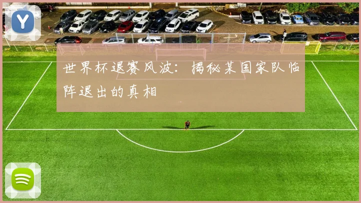 世界杯退赛风波：揭秘某国家队临阵退出的真相