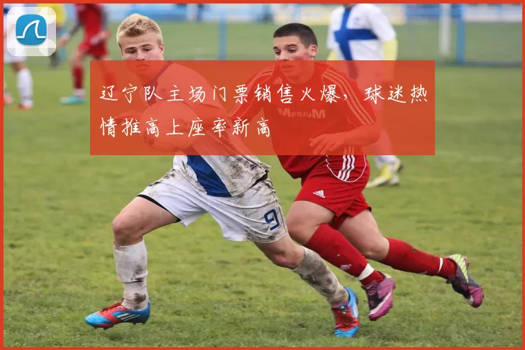 辽宁队主场门票销售火爆,球迷热情推高上座率新高