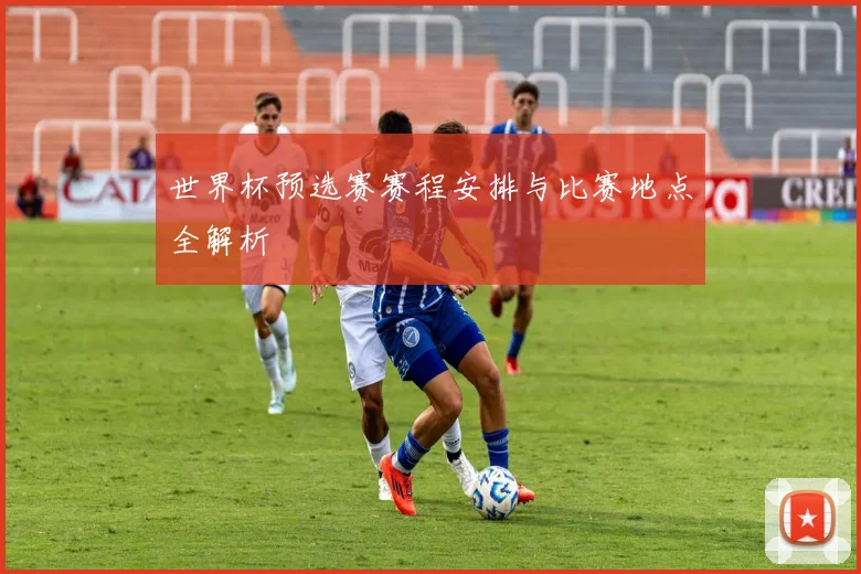 世界杯预选赛赛程安排与比赛地点全解析