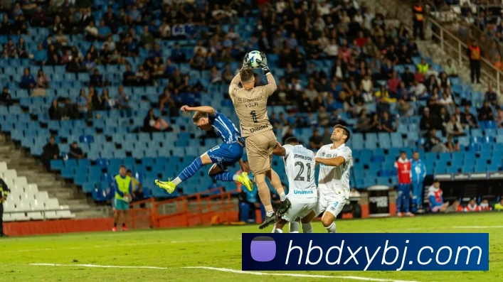 APP界面展示